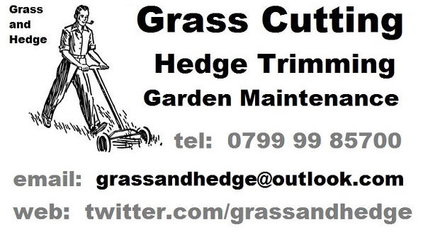 grass cutting ilminster