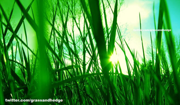 grass and hedge cutting ilminster